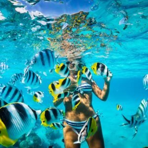 Snorkel Isla Catalina - Tours / Excursiones - Stay Happy RD
