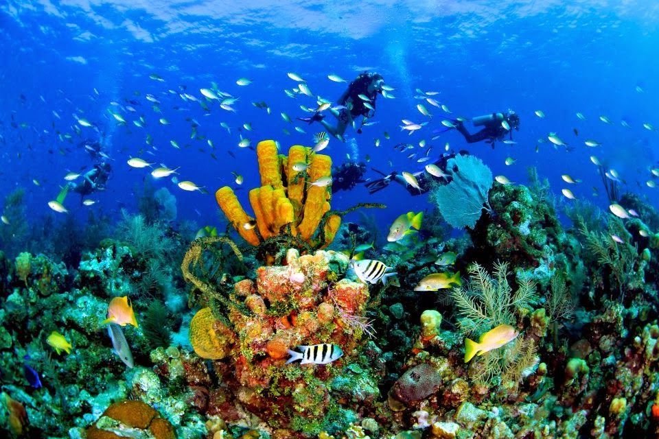 Isla Catalina