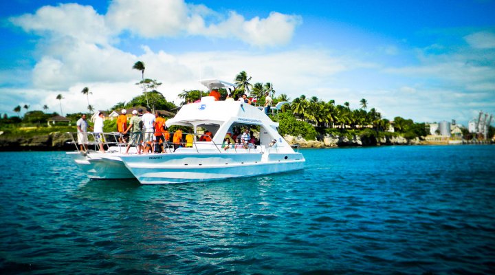 Isla Catalina - Imagen 3