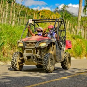 Buggys Polaris