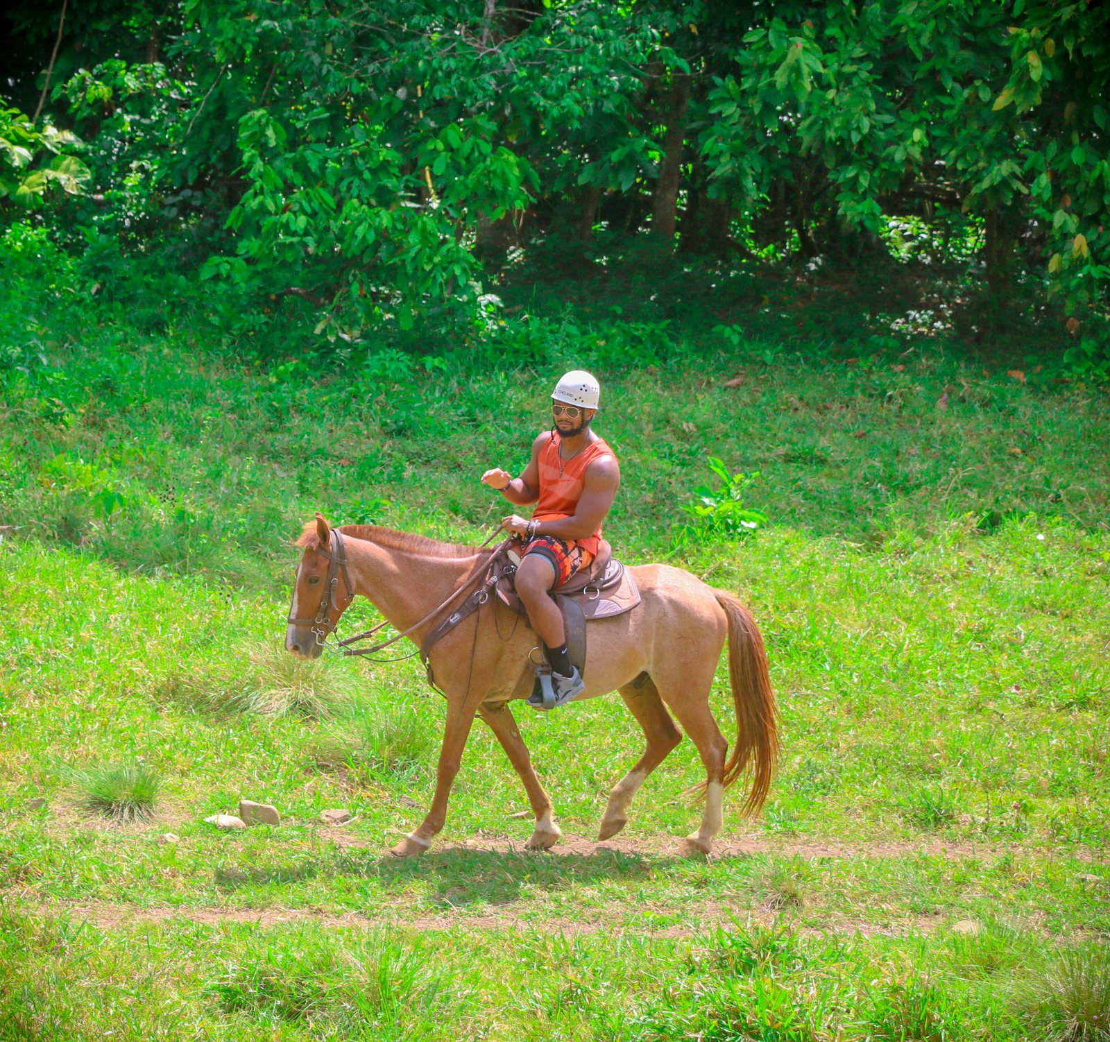 HACIENDA TUKO ADVENTURE PARK - Imagen 14